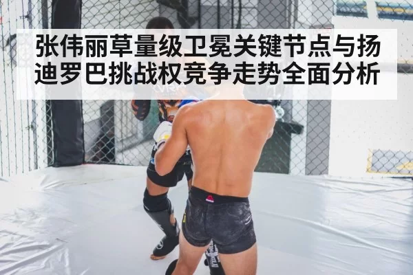 MMA fight cage grappling